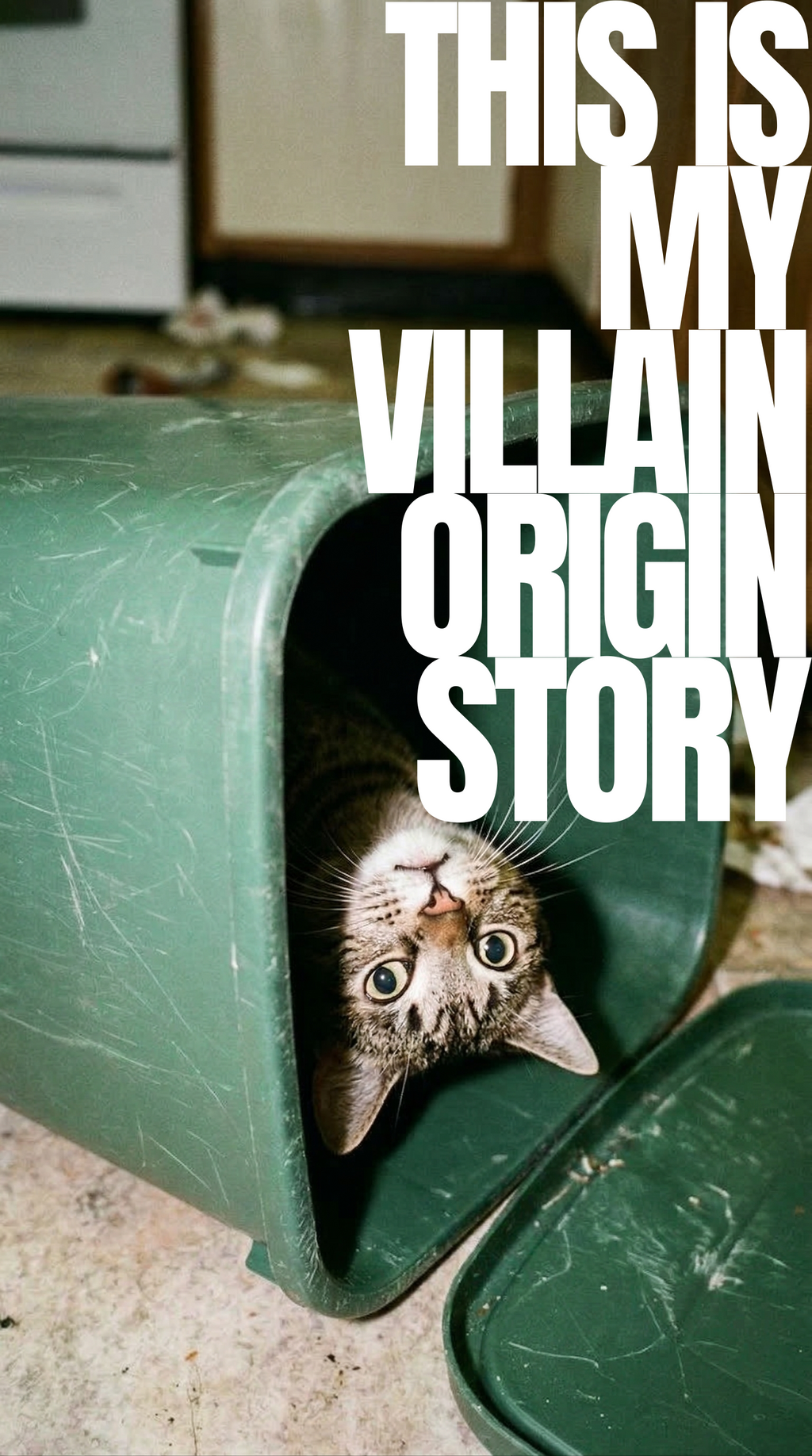 This Is My Villain Origin Story T-Shirt