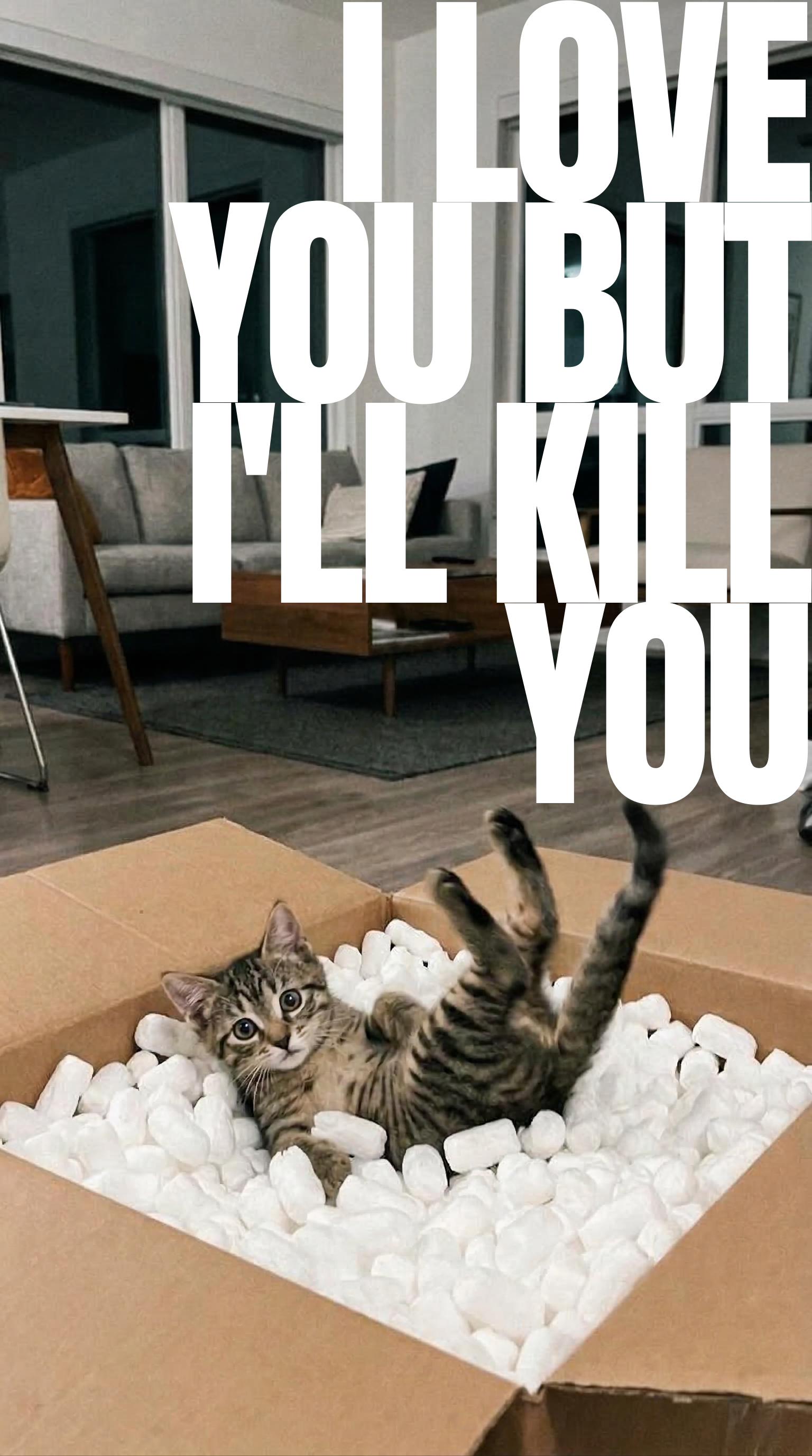 I Love You But I'll Kill You T-Shirt
